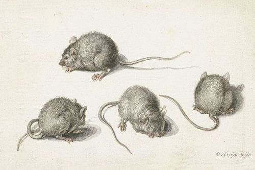 Vier studies van een zieke muis, Jacob de Gheyn (II), 1575 - 1625