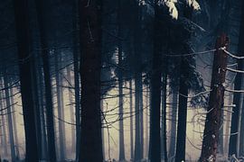 Innsbruck dans le brouillard et la neige sur Travel.san