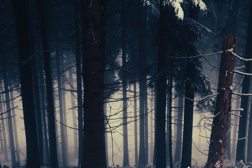 Innsbruck in fog and snow by Travel.san