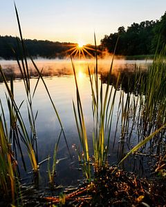 Magie der Natur