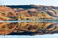 Schottland von René Schotanus Miniaturansicht