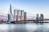 Erasmus Bridge Rotterdam  by Midi010 Fotografie thumbnail