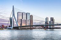 Erasmus Bridge Rotterdam 