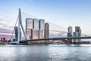Erasmusbrücke Rotterdam  von Midi010 Fotografie