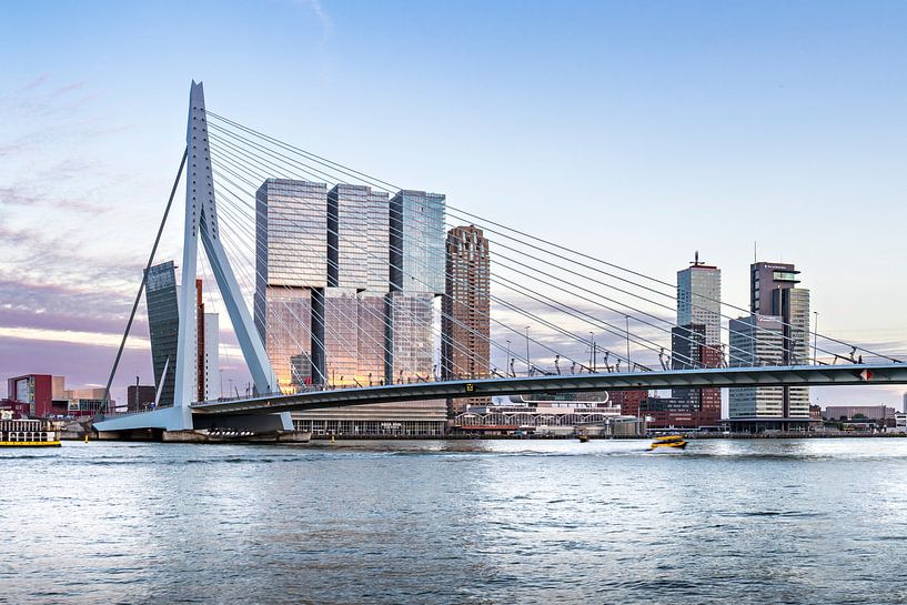 Erasmus Bridge Rotterdam  by Midi010 Fotografie