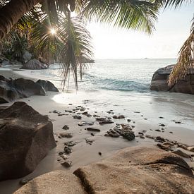 Paradise Bay sur Jiri Viehmann