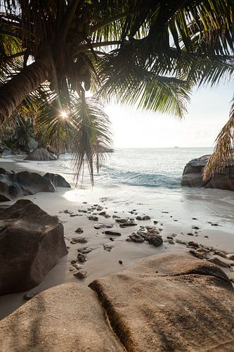 Paradijselijke baai bij zonsondergang op de Seychellen - La Dique Eiland van Jiri Viehmann