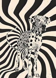 The Dalmatian by Andreas Magnusson