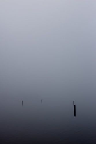 Mist boven de Rijkerswoerdse Plassen
