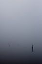 Mist boven de Rijkerswoerdse Plassen van Robert Wiggers thumbnail