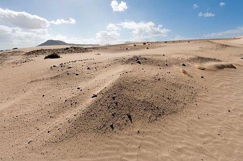 Zandduinen op Fuerteventura