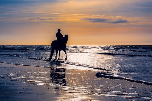 Cavalier avec cheval sur la plage de la mer du Nord