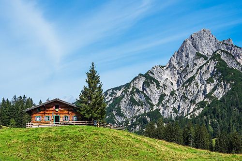 Uitzicht op de Litzlalm met hut in Oostenrijk