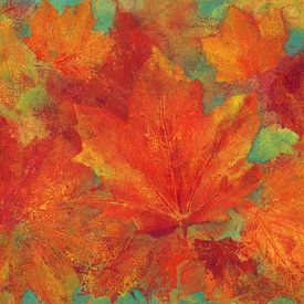 Maple leaves in warm fall colours by Karen Kaspar