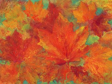 Ahornblätter in warmen Herbstfarben