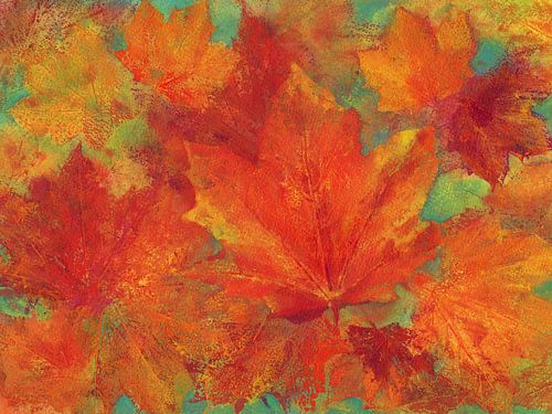 Esdoornbladeren in warme herfstkleuren