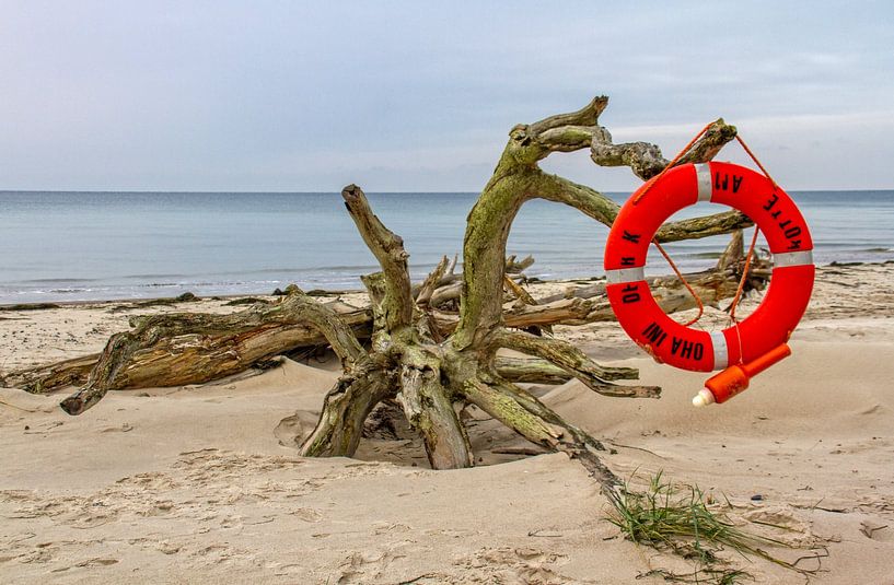 Rettungsring als Strandgut von Holger Felix