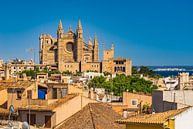 Gezicht op Kathedraal La Seu in Palma de Mallorca, Spanje van Alex Winter thumbnail