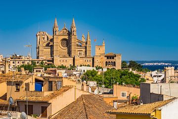 Gezicht op Kathedraal La Seu in Palma de Mallorca, Spanje van Alex Winter