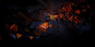 Herfstbladeren in de waterstroom van een beek van Jenco van Zalk