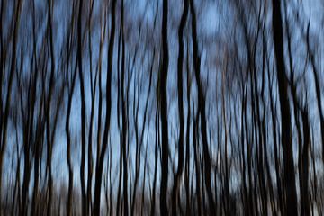 Spookachtig bos. van Tineke Koen