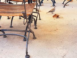 automne by fantasina