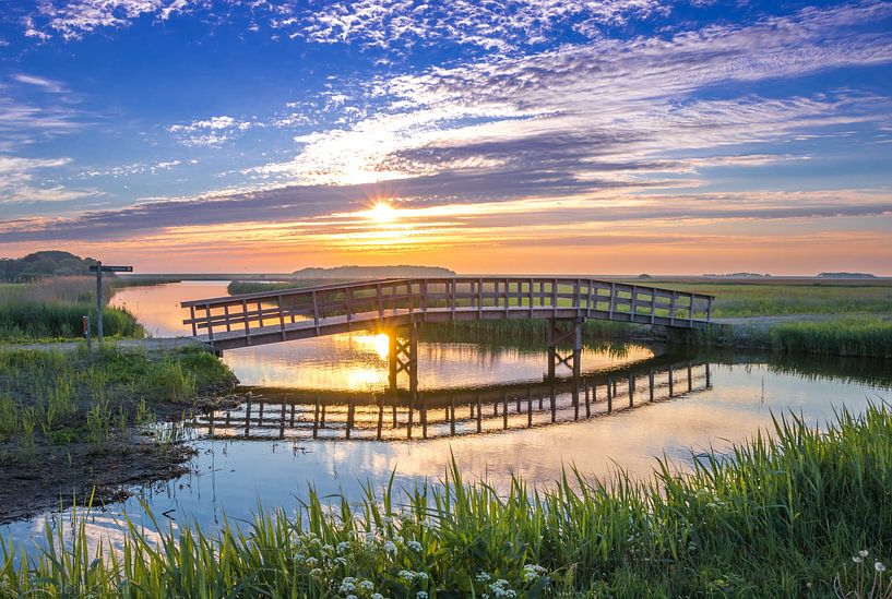 De brug nabij De Cocksdorp, Texel van Dick Hooijschuur