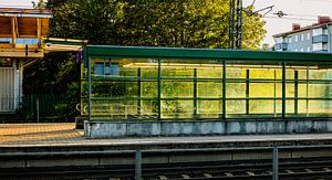 Goldenes Licht am grünen Bahnsteig – Stadt & Schiene