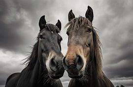 Romantisme équestre