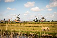 Zaanse schans