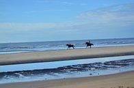 Pferde am Strand. von Kim De Sutter Miniaturansicht