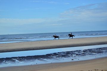 Paarden aan het strand. van Kim De Sutter