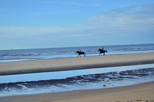 Pferde am Strand. von Kim De Sutter