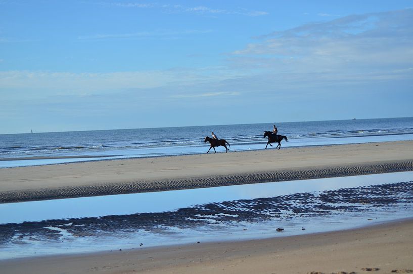 Pferde am Strand. von Kim De Sutter
