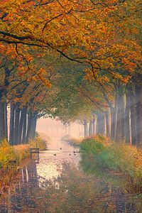 Herbst in Friesland