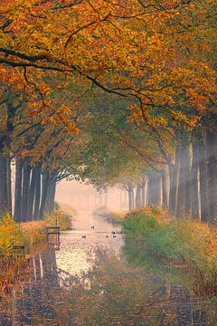 Herfst in Friesland van Henk Meijer Photography