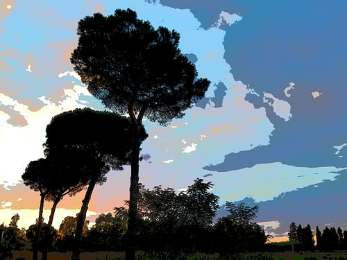 Evening Spectacle (Pines)