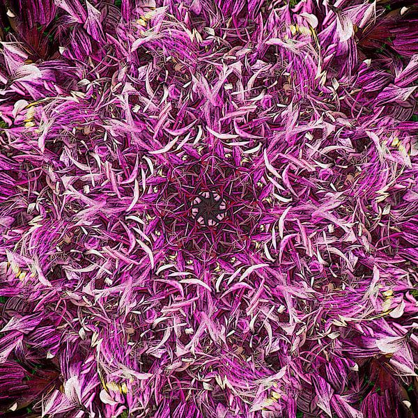 Lilac Revolution van Frans Blok - foto's, kunst en andere wanddecoratie