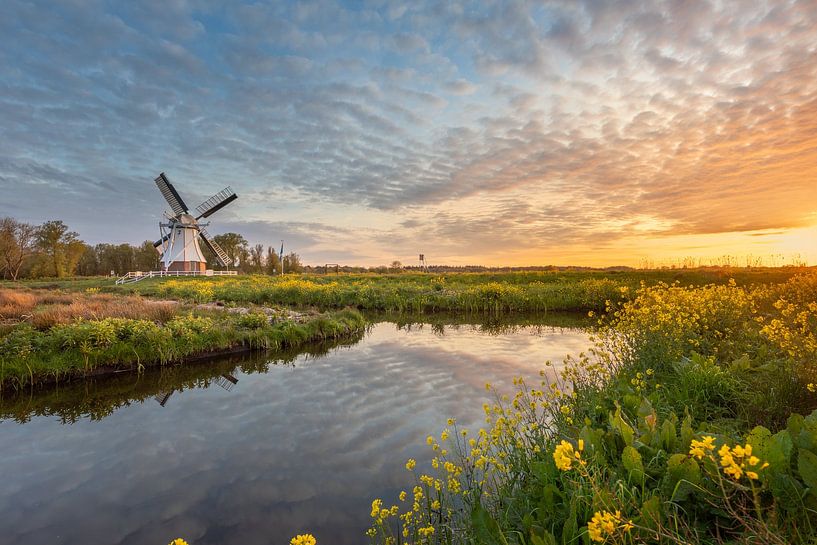 Spring photo of the White Mill near Glimmen by KB Design & Photography (Karen Brouwer)