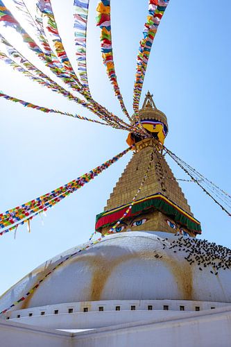 Bouddhanath Tempel sur Joost van Riel