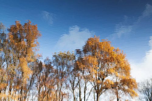 Herbstliche Spiegelung