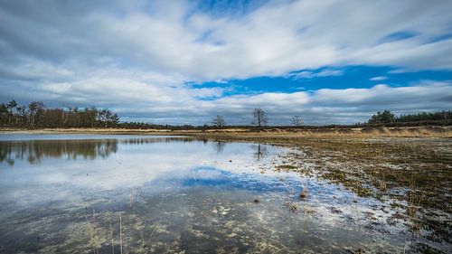 Throatven, Someren