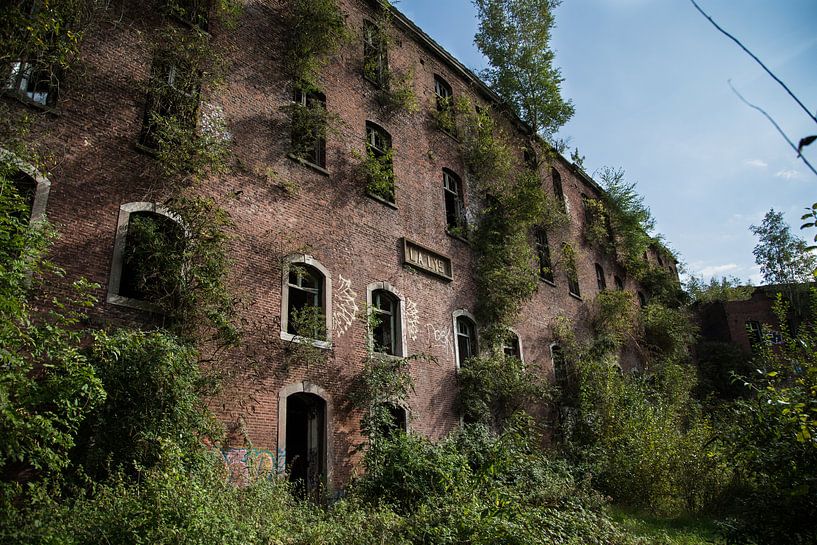 Fort de la Chartreuse - Heroverd door de natuur van Sasha Lancel