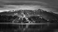 Der Bleder See in Schwarz und Weiß von Henk Meijer Photography Miniaturansicht