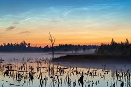 Leuchtende Nachtwolken am längsten Tag des Jahres. von Karin de Jonge