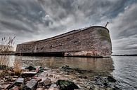 De ark van Noach in Dordrecht van Tammo Strijker thumbnail