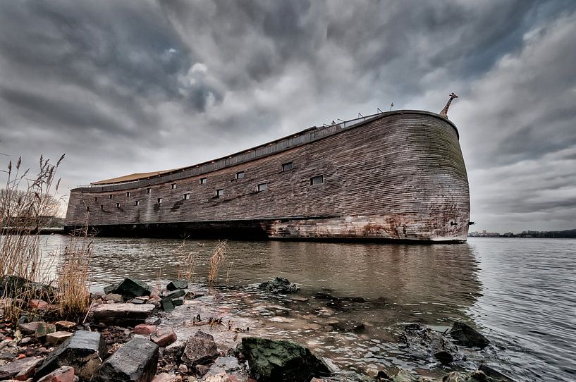 De ark van Noach in Dordrecht von Tammo Strijker