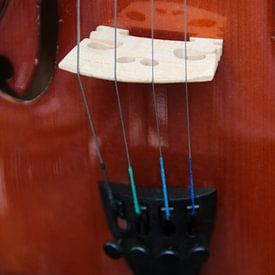 Violin von Bert  Zefat
