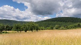 Heuvellandschap in de buurt bij Mespel