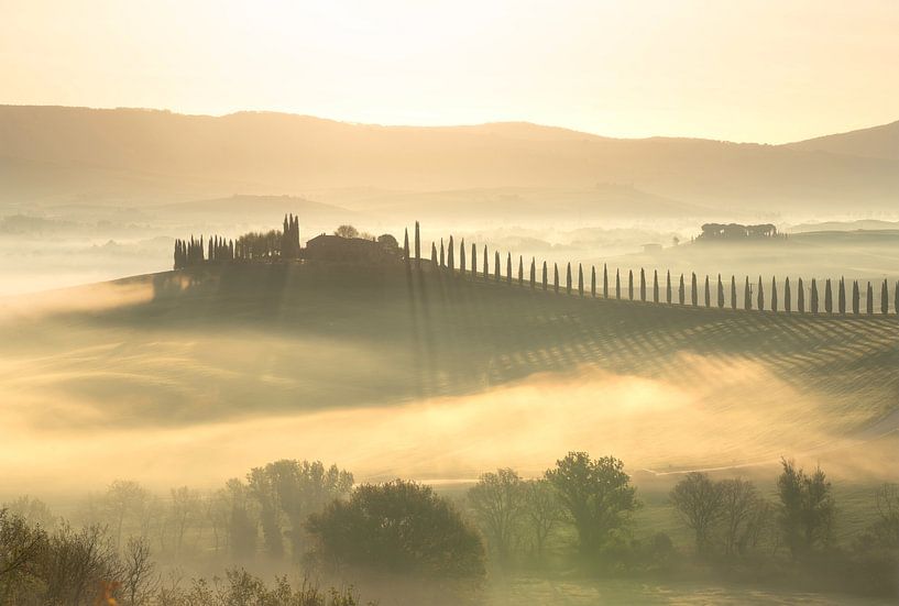 Tuscany, Poggio,Covili by Steve Watteeuw